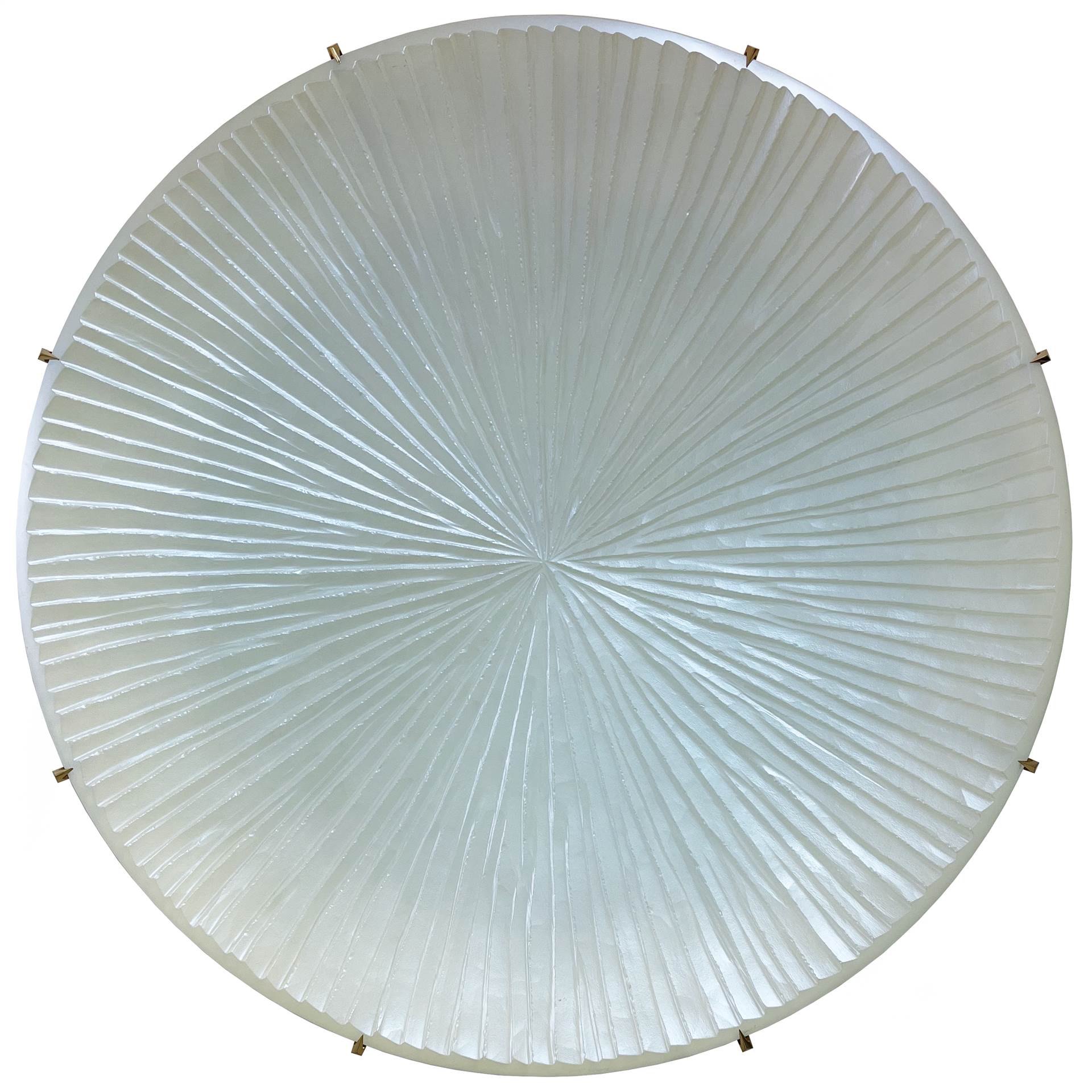 Coppa perlata incisa